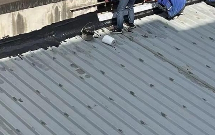 承接厂房工程防水